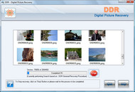 Digital Pictures Recovery screenshot